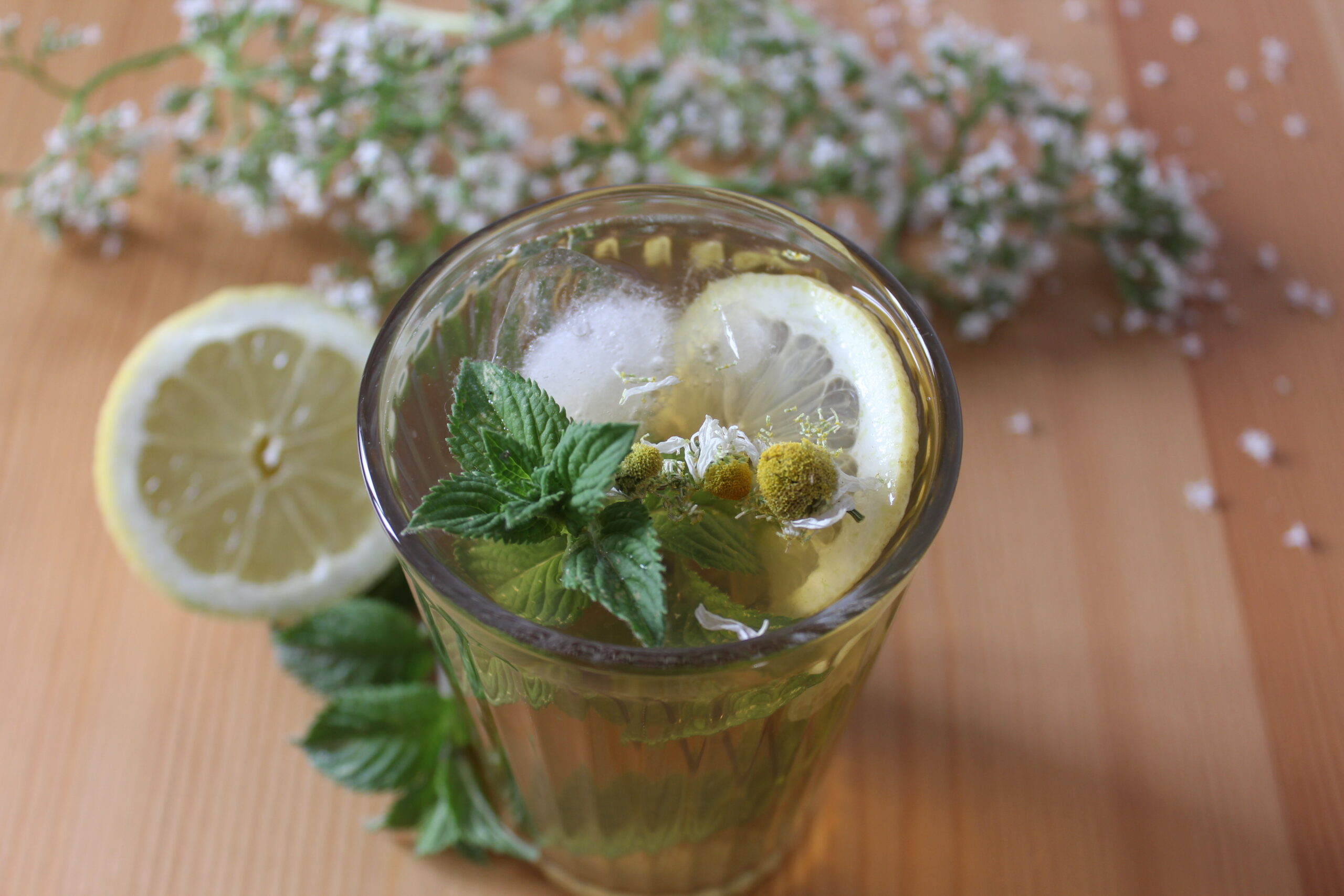 ein Glas Eistee mit Minze, Kamille, Zitronenscheiben und Eiswürfel