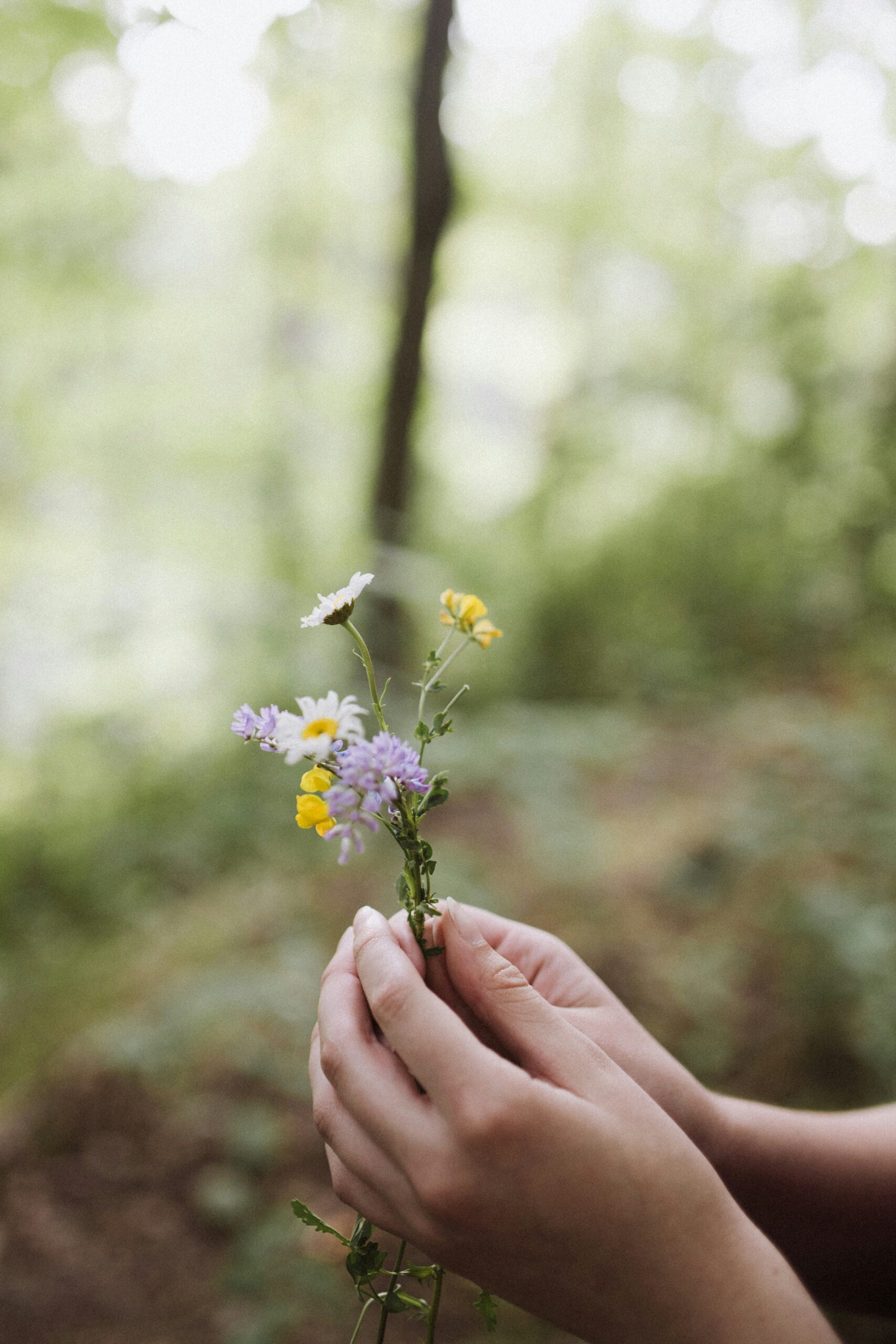 hochsensibel, feinfühlig, Hände mit Blumen