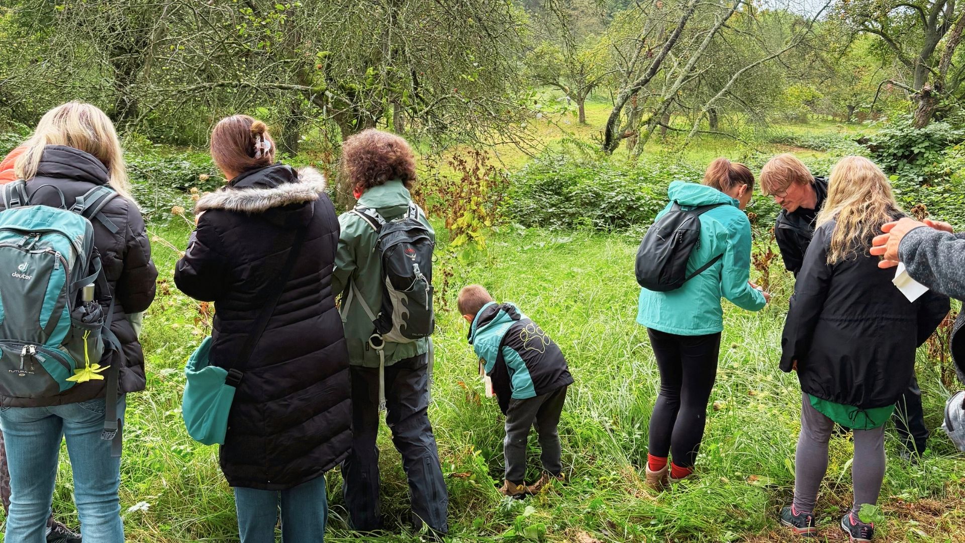 teilnehmer einer wildkräuterwanderung im remstal
