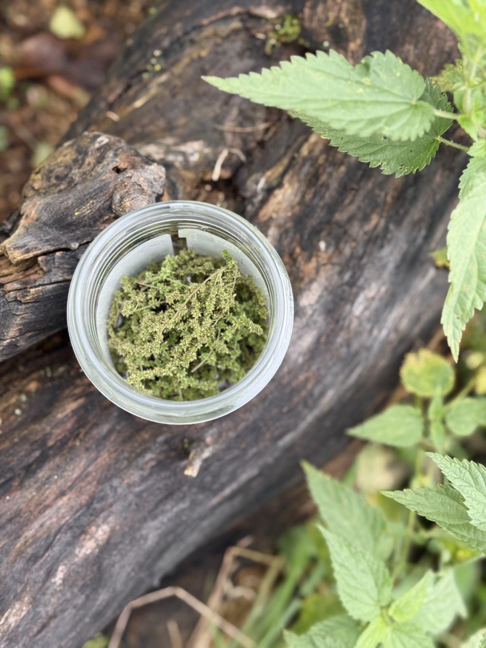 IMG_4718_ruhig_filter21