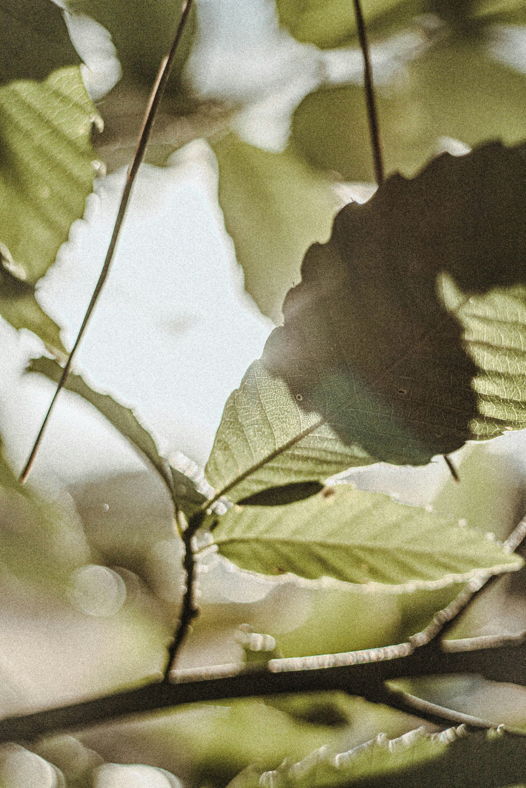 a-b-xPVffKr7w_g-unsplash